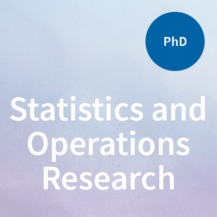statistics phd online